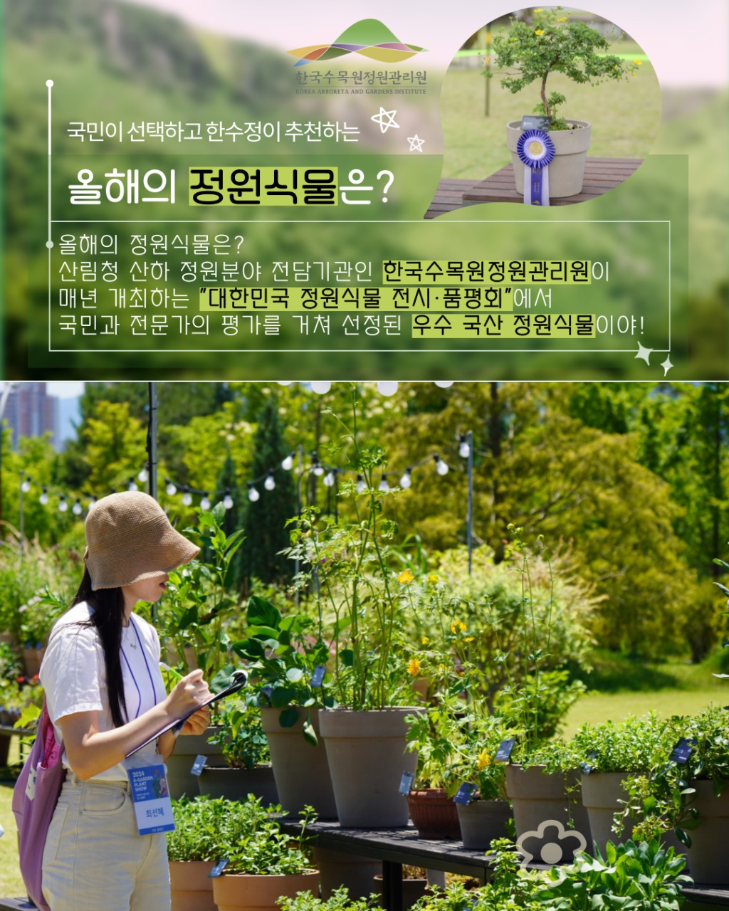 editor_image