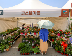파스텔가든